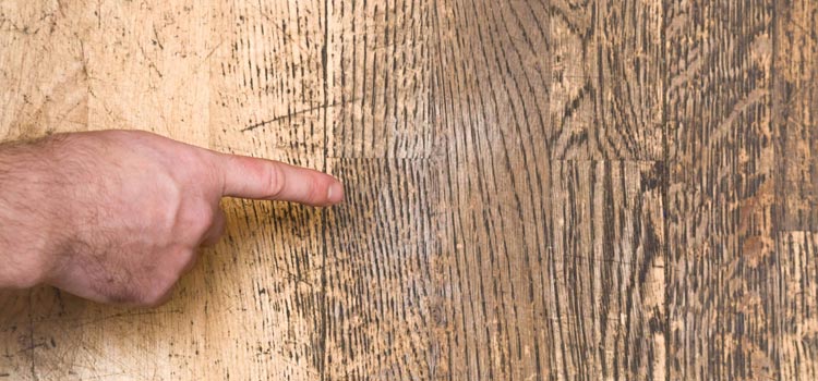 Wood Door Scratch Repair in Gustine